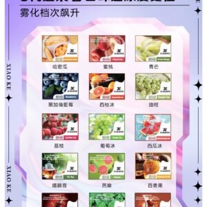 XIAOKE 可替換式電子煙 (通用 RELX6代)